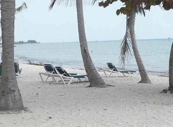 Condo located directly across from key west largest beach!